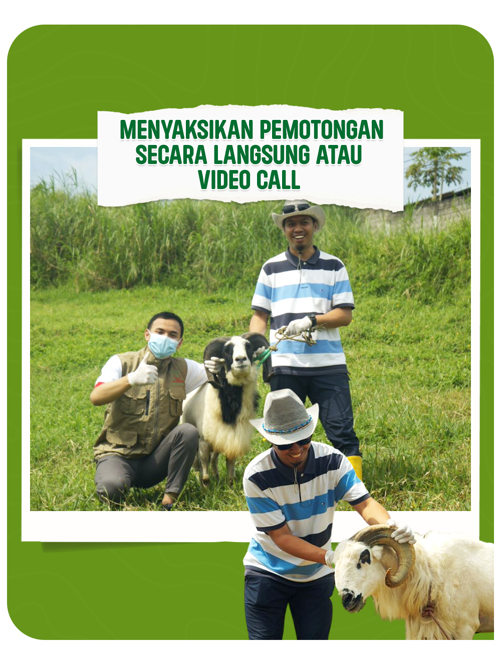 Harga Aqiqah Bandung Al Hilal Paket Murah Mulai 1,6 Juta, Kirim Gratis